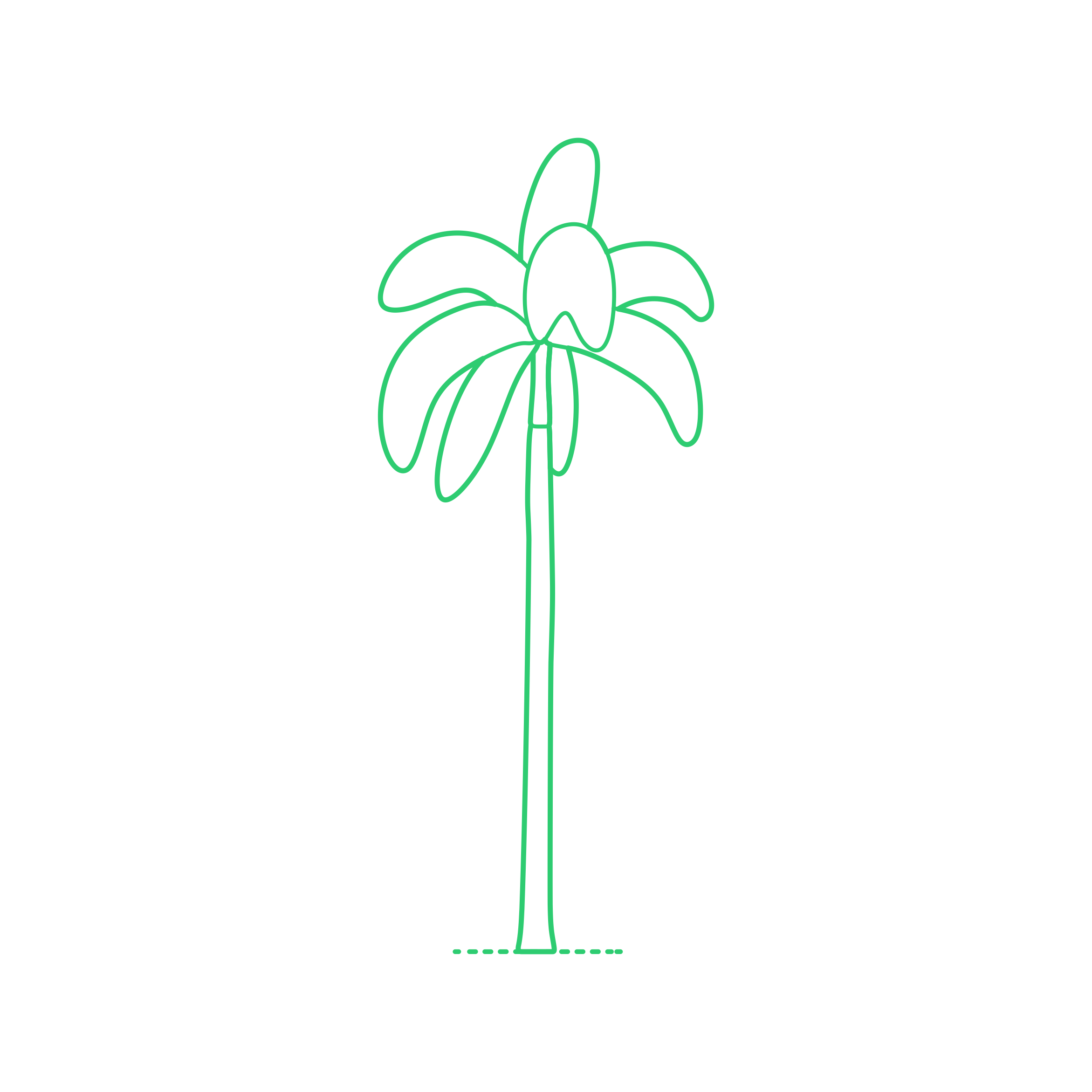 Plants Palms Foxtail Palm Stencil Svg Design File Free Vectors